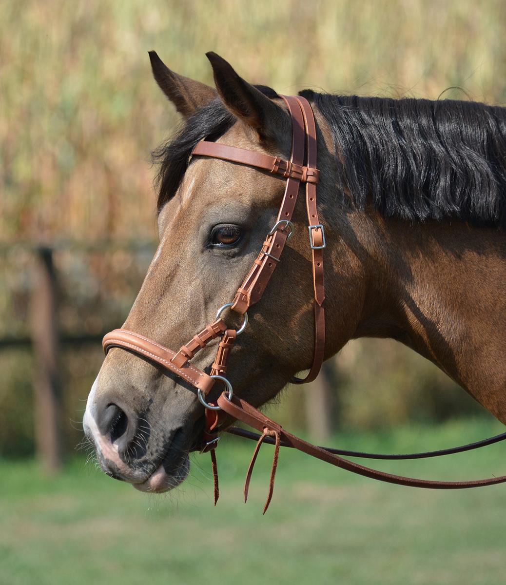 Englischer Gurtadapter für Westernsattel -  Pferde und  Reiten